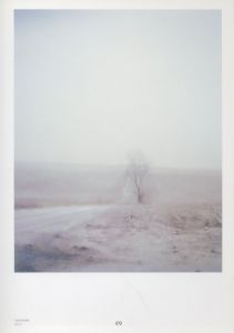 「Todd Hido　on Landscapes, Interiors, and the Nude / Todd Hido 」画像2