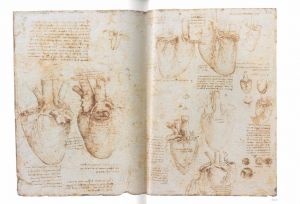 「レオナルド・ダ・ヴィンチ　人体解剖図　-女王陛下のコレクションから- / 著：マーティン・クレイトン　監修：高橋彬」画像1