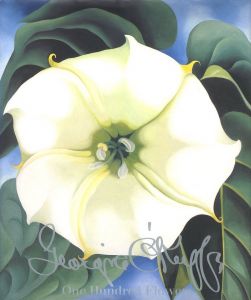 Georgia O'Keeffe: One Hundred Flowersのサムネール