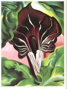 「Georgia O'Keeffe: One Hundred Flowers / 著：ジョージア・オキーフ　編：ニコラス・キャラウェイ」画像4