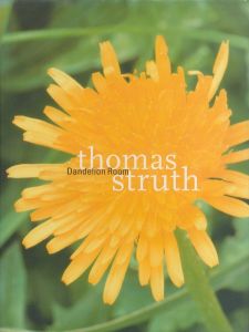 Dandelion Room／トーマス・シュトルート（Dandelion Room／Thomas Struth)のサムネール