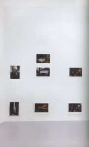 「Wolfgang Tillmans 2017 / Edit: Chris Dercon and Helen Sainsbury with Wolfgang Tillmans」画像10