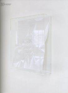 「Wolfgang Tillmans　To Look Without Fear / 著：ヴォルフガング・ティルマンス、Roxana Marcoci」画像5