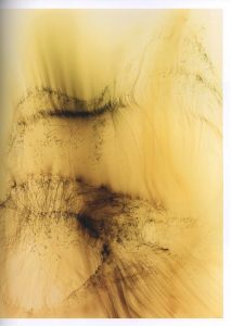 「Wolfgang Tillmans　To Look Without Fear / 著：ヴォルフガング・ティルマンス、Roxana Marcoci」画像13