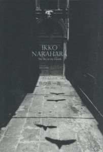 手のなかの空  奈良原一高  1954-2004／写真：奈良原一高　編：蔦谷典子（IKKO NARAHARA The Sky in my Hands／Photo: Ikko Narahara　Edit: Noriko Tsutatani)のサムネール