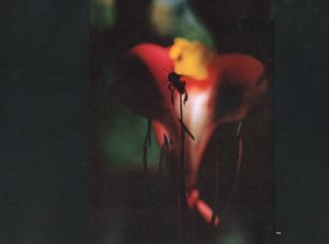 「THE CREATION / Ernst Haas」画像4