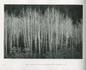 「ANSEL ADAMS IN THE NATIONAL PARKS / Ansel Adams」画像5