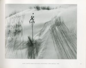 「ANSEL ADAMS IN THE NATIONAL PARKS / Ansel Adams」画像6