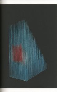 「Geometries Sud, du Mexique a la Terre de Feu / Foreword: Herve Chandes, Alexis Fabry」画像3