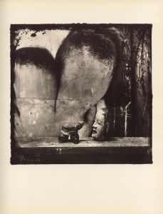 「GODS OF EARTH AND HEAVEN / Joel-Peter Witkin」画像2