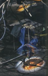 「Night into Day・De Nuit En Jour / Sarah Sze」画像2