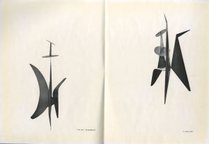 「stabilen mobilen / Author: Alexander Calder 」画像2