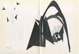 「stabilen mobilen / Author: Alexander Calder 」画像3