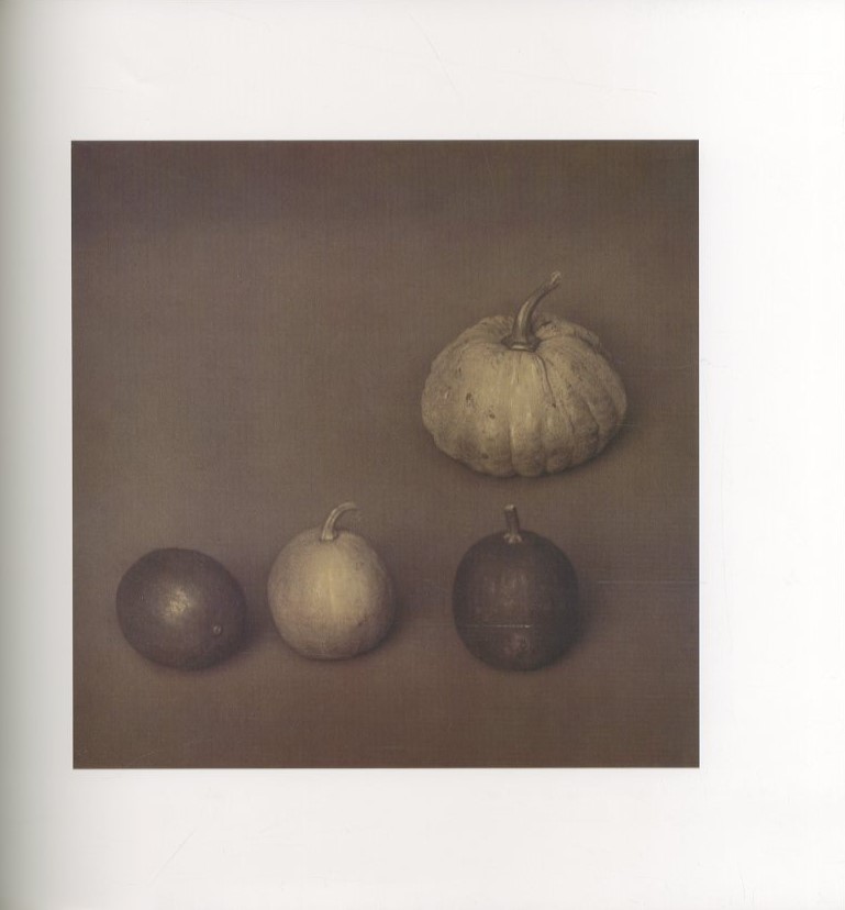 A COLLECTION OF JAPANESE PHOTOGRAPHS 1912-1940 / 著：柳沢正