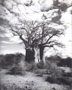 「MADAGASCAR / Photo: Gian Paolo Barbieri」画像1