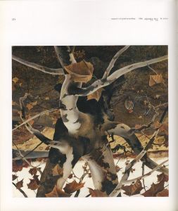 「Memory & Magic / Andrew Wyeth」画像4