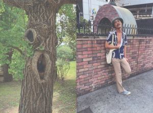 「Yolo / Motoyuki Daifu　Edit: Hiroshi Iguchi」画像3