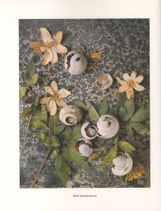 「Muschelherz Und Finkenschlag / Eberhard Grames」画像7