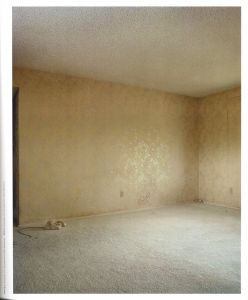 「Intimate Distance / Todd Hido」画像9