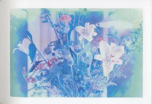 「Blue Period / Last Summer : Arakinema / Photo: Nobuyoshi Araki　Design: Geoff Han」画像3