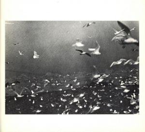 「Mario Giacomelli Fotografie dal 1954 al 1984 / Mario Giacomelli」画像8