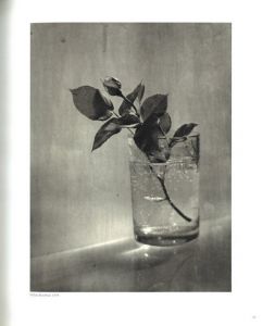 「Aperture 118 Josef Sudek / Josef Sudek」画像2