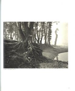 「Aperture 118 Josef Sudek / Josef Sudek」画像5