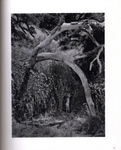 「Wynn Bullock : Photography a Way of Life / Wynn Bullock」画像7