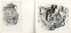 「BELLMER oeuvre grave / Hans Bellmer」画像1