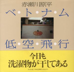 ベトナム 低空飛行 / 赤瀬川原平