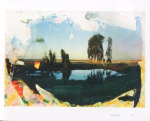 「Matthew Brandt: Lakes & Reservoirs / Matthew Brandt」画像4