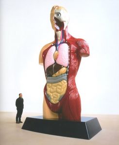 「Damien Hirst / Damien Hirst」画像6