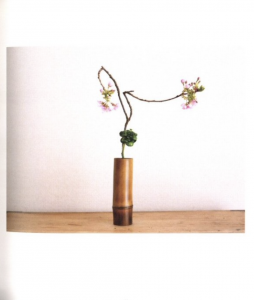 「EYES OF IKEBANA / 渡来徹」画像2