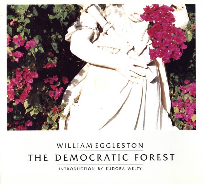「WILLIAM  EGGLESTON THE DEMOCRATIC FOREST / Author: William Eggleston　Foreword: Eudora Welty」メイン画像