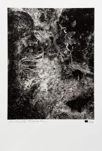 「Modern Masters of Photography - Japan / 深瀬昌久、細江英公、石元泰博、川田喜久治、森山大道、長野重一、内藤忠行、佐藤時啓、柴田敏雄、須田一政、上田義彦、山崎博」画像6
