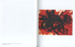 「gutai: splendid playground / Organized: Alexandra Munroe, Ming Tiampo」画像3