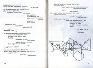 「BEATITUDE Poety International 1992 Vol.2 / Edit: Michelle Rochford Boleyn」画像2