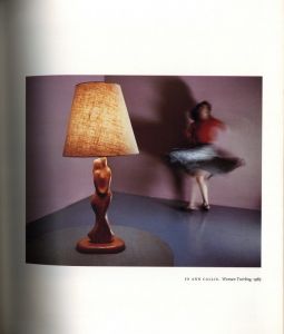 「Pleasures and Terrors of Domestic Comfort / Peter Galassi」画像4