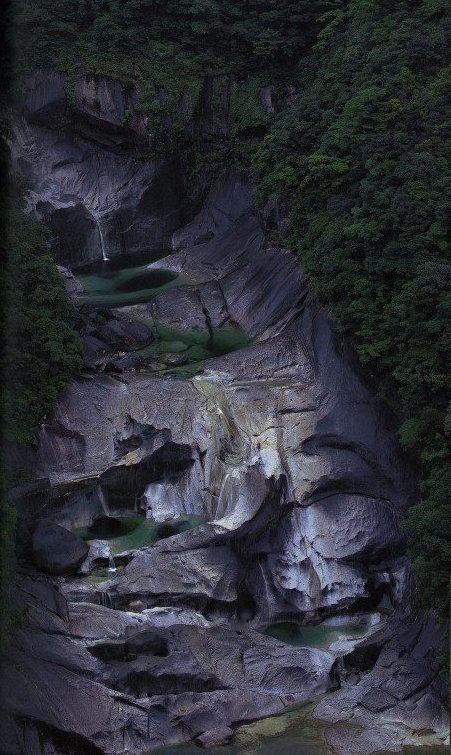 世界遺産屋久島 三好和義写真集 - 本