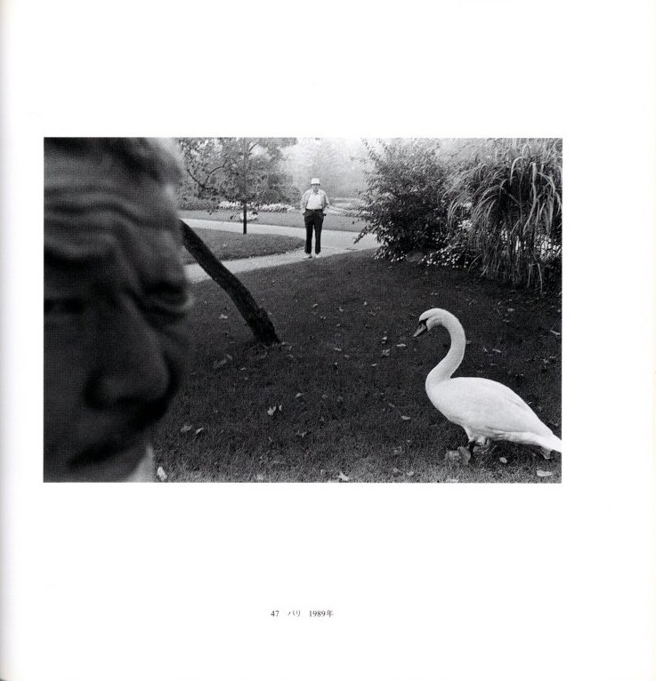 Amazon.co.jp: 深瀬昌久 日本の写真家34 岩波書店 1998年初版