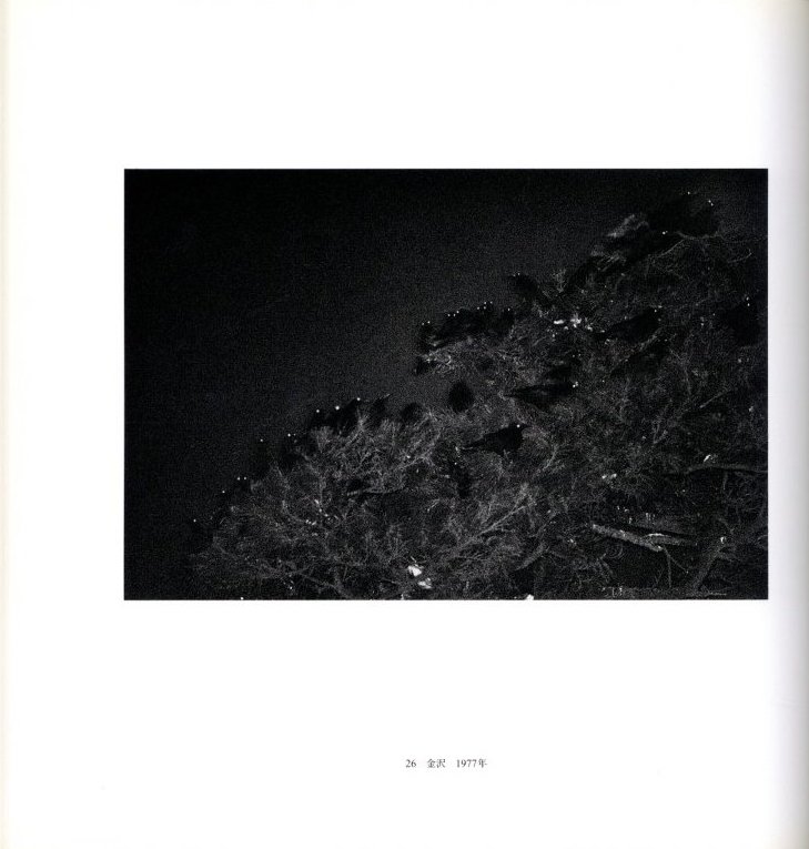 深瀬昌久 / 深瀬昌久 | 小宮山書店 KOMIYAMA TOKYO | 神保町