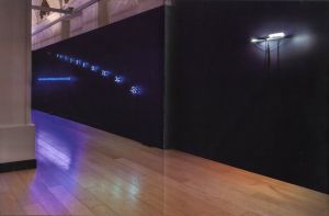 「Neon in Contextual Play: Joseph Kosuth and Arte Povera / Text: Cornelia Lauf」画像8