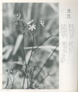 「詩のふるさと / 著：濱谷浩　装丁：菅野梅三郎」画像5