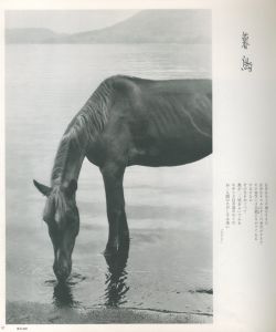 「詩のふるさと / 著：濱谷浩　装丁：菅野梅三郎」画像4