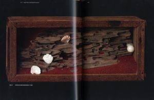 「Joseph Cornell: Shadowplay Eterniday / Joseph Cornell」画像1