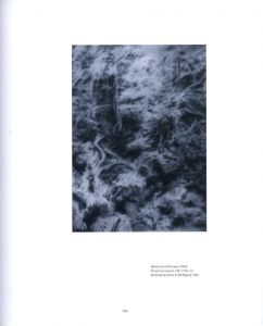 「Gerhard Richter: Landschaft / ゲルハルト・リヒター」画像4