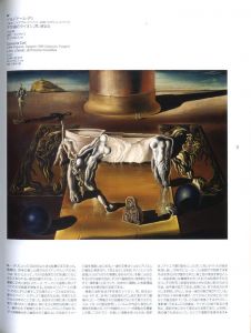 「シュルレアリスム展　−パリ、ポンピドゥーセンター所蔵作品による− / 編： 国立新美術館」画像3