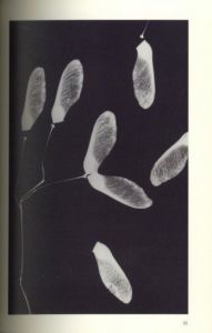 「KWANGHO CHOI 【PHOTOGRAM】GIFT / Kwangho Choi」画像3