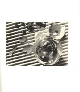 「IWAO YAMAWAKI / Iwao Yamawaki」画像2