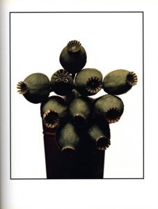 「FLOWERS , SKULLS , CONTACTS / David Bailey 」画像3